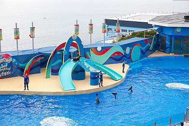 男同资源：墨西哥地平线上的速度与收藏艺术-2