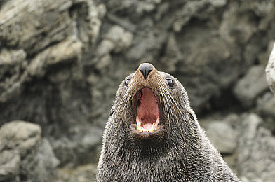 人妻奶水：末日温情新作，以母性抉择重塑生存游戏伦理边界-3