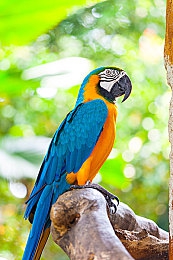 精东传媒麻豆传媒：跨界竞速新作今日上线，赛车手兼营娱乐帝国引爆双线狂飙-2