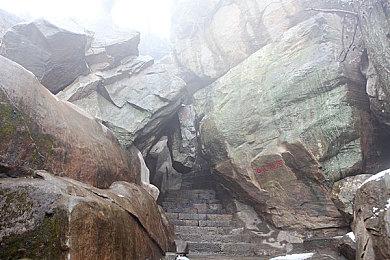 色多多网站：光谱疾驰，霓虹深渊中的色彩引擎竞速之旅-2