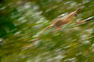 蝌蚪窝是一个可以释放的网站:在墨西哥的广阔天地,重拾驾驶最本真的快乐-3