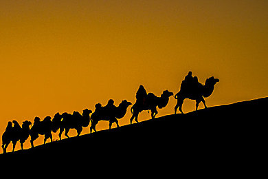 男人私秘 Gay军人:钢铁誓言,暗涌之心,无声战壕中的自我寻证-4