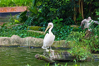 伦理AV网站：在数据深渊中审判人性的灰色代码-2