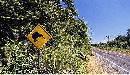 亚欧情性一区二区：极限竞速地平线新赛道首发，双大陆驾驶文化与竞速艺术深度解析-3