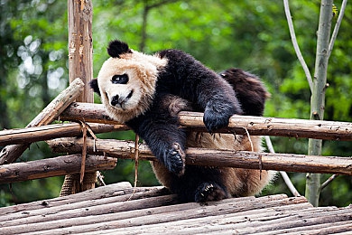 99热这里有精品：极限竞速地平线5新赛季开启，墨西哥赛道终极调校攻略揭秘-3