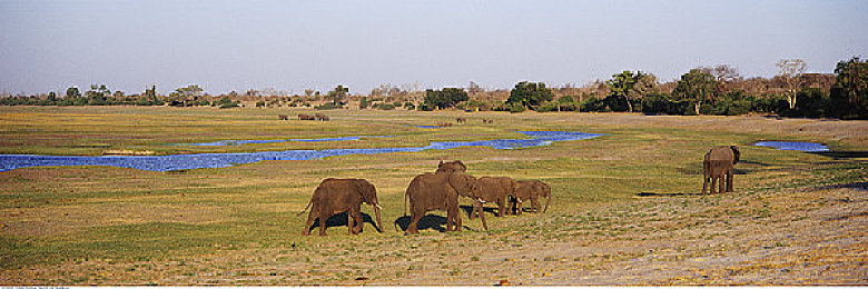 JVID下载软件：地平线5创意中心深度解析，打造专属梦幻车库的终极攻略-3