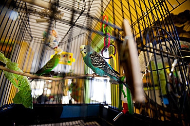 阿娇与冠希13分钟49秒:极限竞速新作发布,挑战十三分钟赛道终极记录-4