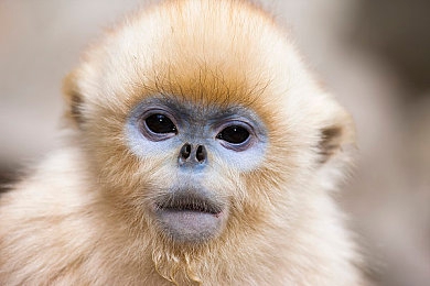 差差的软件：当故障成为玩法，在代码崩溃中体验另类驾驶乐趣-5