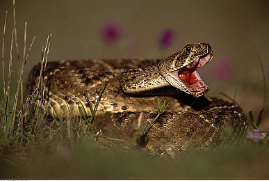 ai明星MV造梦：霓虹声浪，虚拟偶像的竞速创作交响诗-5