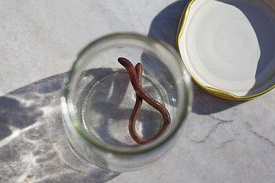 小偷刷小女孩脚心：潜行解谜新作，用荒诞互动偷走负面情绪-2