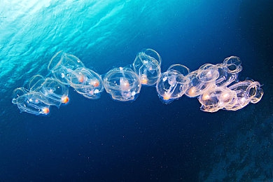 男生和女生搞基软件：情感无界新作《心灵界限》上线，自由构建虚拟关系引热议-3