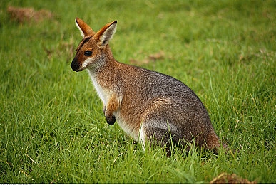 男人捅女人的应用:极速穿刺革新竞速体验,精准战术与疾驰快感的完美融合-3