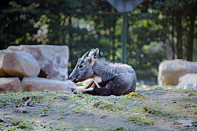 火辣性福利导航：霓虹都市极速狂飙，开放世界驾驶指南与改装攻略-2