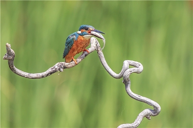 英语课代表说不能再生了：当赛车彻底损毁，硬核玩家如何绝地求生-3