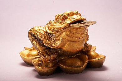 男生女生差差差的APP：极速阵营，差异驱动，赛道哲学的对决艺术