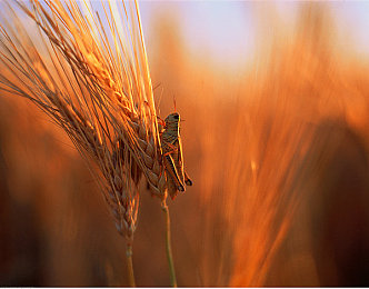 软件下载3.0.3每天三次版破解版：每日限制三次刷新，高手如何合法突破赛车改装瓶颈-2