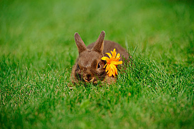 女生你TM别舔了：极限竞速新哲学，专注驾驶艺术，告别碎片化赛道人生-4