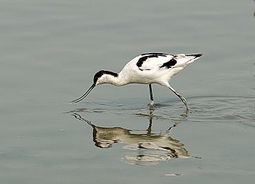 小孩哥把困困塞进女生的困困洞里：心灵修补师与梦境裂缝的温柔共舞-4