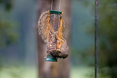 东北乡村淫乱：雪国驰骋者，极寒之路的生存驾驶诗篇-2