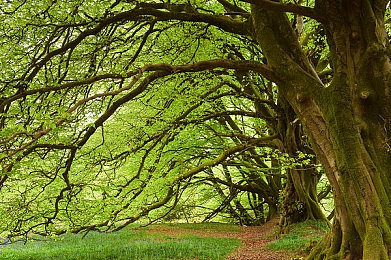 五月丁香天婷婷：极速寻芳，墨西哥旷野的像素诗篇-5