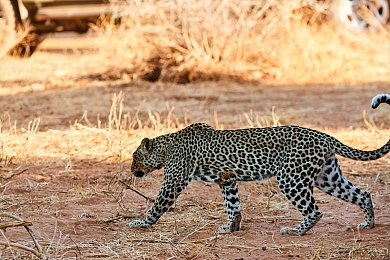 国产深夜黄色AV：霓虹夜幕下的速度诗篇，未来都市竞速幻想曲-5