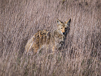 37西方大但人文艺术：极速穿越艺术史，动态赛道名画中狂飙竞速新游今日上线-3