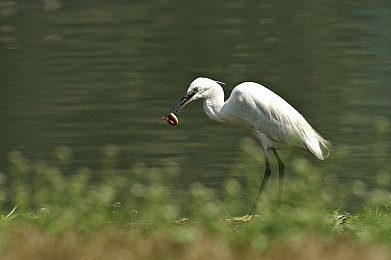 中国少妇xxxxxx：墨西哥极速狂飙，地平线5释放你的驾驶激情与自由-2