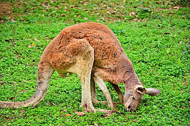 亚洲二区一区:极速分野,霓虹湾岸与雨林街道的双生竞速之旅-3