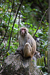 开襟jk做双人运动：极速共舞，同心协奏的赛道羁绊之旅-4