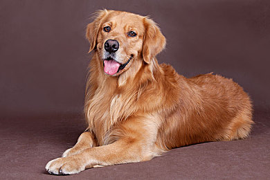 51黑料：极速背后的秘密，探索隐藏的赛道法则与驾驶艺术-2