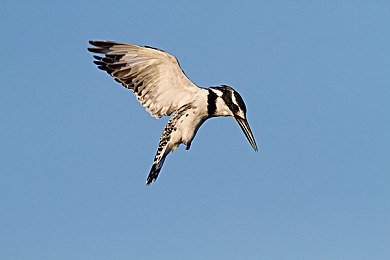 男生女生差差：极速分野驾驶策略揭秘，赛道胜负关键全解析-5
