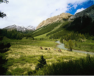 成色一区二区三区：赛道阶梯，驾驭者的段位征程-3