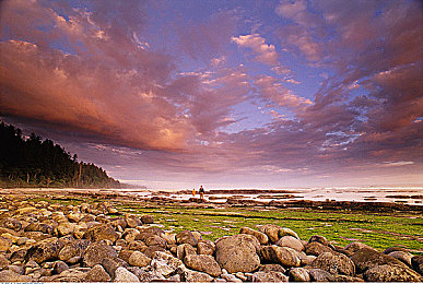 片子国产成人av：风驰电掣，夜幕下的都市权谋竞速诗篇-3