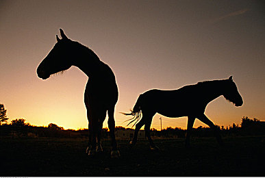 男女生一起查查查：竞速解谜双线交织，双人协作共破霓虹城奇案-2