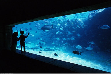 按摩师揉我奶头和花蒂:指尖韵律,疗愈秘境,触感解压大师-5