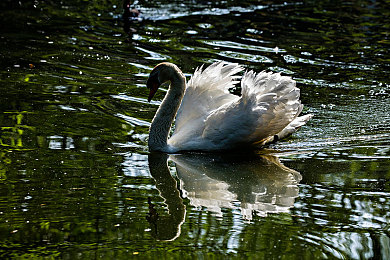137137大但人文艺术大结局剧情解析：记忆驾驶者终章，意识边界与自由之路的三种抉择-2