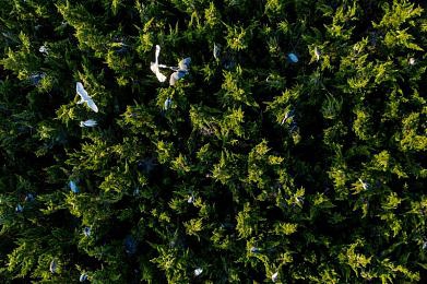 男女生干逼软件：极限竞速地平线5评测，开放世界竞速新标杆与进阶攻略全解析-2