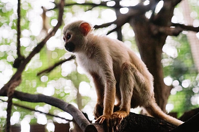 稀缺精选泄密黑料吃瓜：极限竞速地平线6传闻深度解析，新特性与隐藏车辆前瞻-3