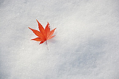 国产色片禁用APP：极速净化都市，体验赛博交规执法者的道德追击战-2