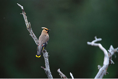 国产一卡二卡三区四区：赛道分区制胜，动态换装竞速新纪元-2