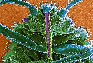 国精产品一区二区-:极限竞速地平线,国产汽车文化崛起,虚拟驾驶体验-3