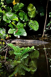 少妇被按摩高潮喷:竞速新作深度解析,车辆调校与氮气加速的艺术革新-2