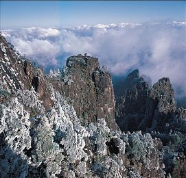 男生插曲女软件:极速幻影中的角色重塑与驾驶美学革新-4