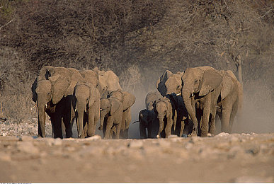福利一区福利三区:地平线5隐藏宝藏揭秘,独家车辆与资源获取全攻略-2