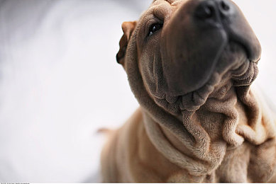 法国空乘2016：复古跑车穿梭巴黎云端，悬浮竞速新游颠覆想象-4