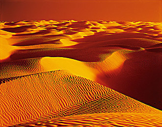 99热之精品:极速与艺术的融合,沉浸式赛车游戏体验全解析-3