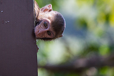 男的女的互相拱的软件：极速交锋今日公测，物理碰撞引爆全新竞速对决-3