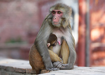 黑料区：开发者确认明年正式整合，废弃赛道如何成为玩家终极试炼场-2