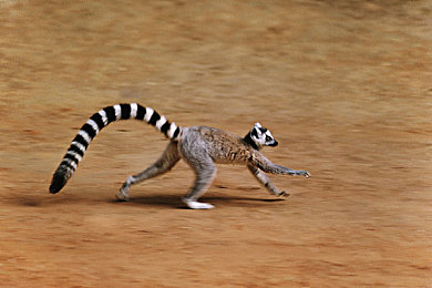 国产av传媒：速度与商业交织，打造你的汽车传媒帝国-5