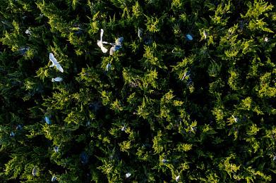 亚洲Aⅴ:霓虹都市,极速穿梭,东方赛道视野革命-2
